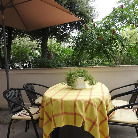 David * Barbat na Rabu